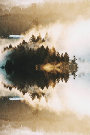 Processed with REFLKT app {IG: @reflkt.app}