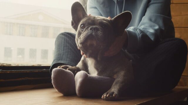 1111065_Caress_Window_sill_1280x720