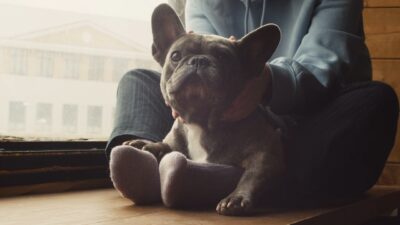 1111065_Caress_Window_sill_1280x720