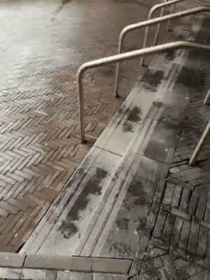 78481983019__E2B42371-A327-4F2A-BCE4-3D158694DE60